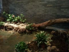 picture-青藤茶馆(南山路店)