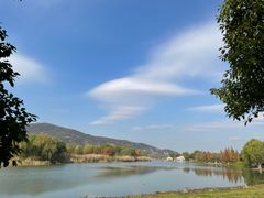 -长广溪湿地公园