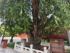 -北京市劳动人民文化宫(太庙)