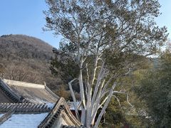 -潭柘寺景区