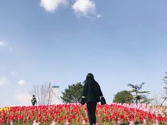 -大兴滨河森林公园