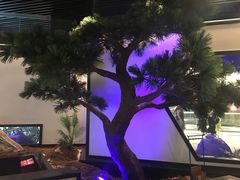 -绿茶餐厅(成都大悦城店)