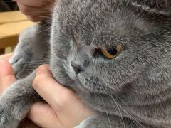 -瑞派康怡24h宠物医院·犬猫医疗中心·微创绝育(瑞景分院)