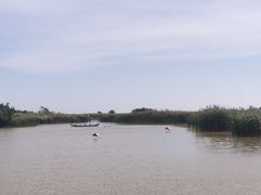 -盐城丹顶鹤湿地生态旅游区