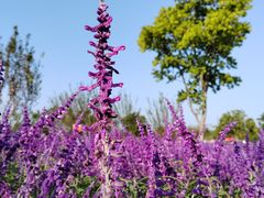 -上海山野camping·户外天幕烧烤·团建拓展营地