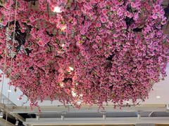 -小桃红·东北菜·春饼烤鸭(南阳湖街店)