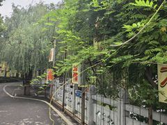 -淄博花灯齐彩城