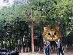 -亲兄弟真人CS团建拓展基地