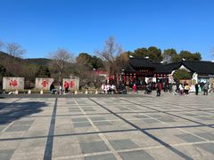 -香雪海