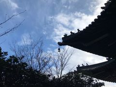 -杭州半山国家森林公园