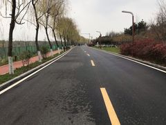 -洨河生态公园