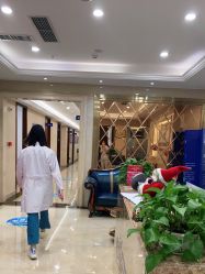 点击看大图 -碧莲盛·不剃发植发