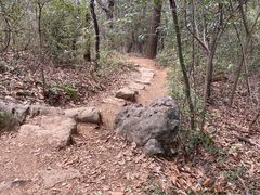 -九曜山