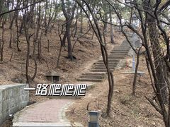 -北岭山森林公园