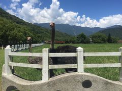-瑞穗牧场