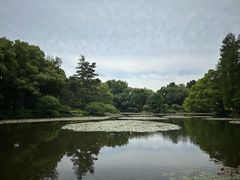 -杭州植物园