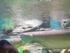 -广州海洋馆