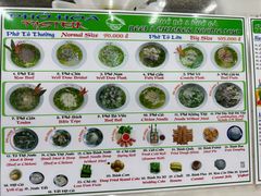 -Pho Hoa Pasteur