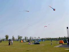 -春花秋色城市公园