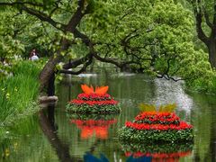 -上海共青森林公园