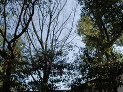 -黄公望隐居地