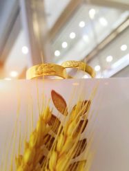 -莲七珠宝(西万达店)