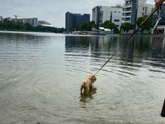 -美兰湖景区