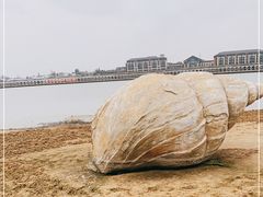 -金沙湖旅游度假区