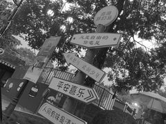 -南湖梦幻岛
