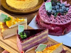 -倾城密码(大唐店)