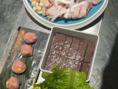 -探窝·竹笙椰子鸡(杨箕店)