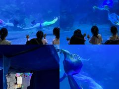 -左海海底世界