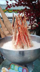 -阳光五洲大酒店·宴会厅