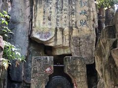 -铁山坪森林公园