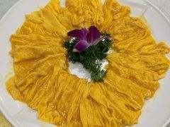 黄埔炒蛋-姚林轩