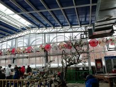 -丝绸之路山地度假区滑雪场