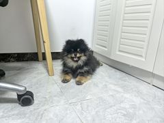 -美迦爱-牙专科·兔科·骨科诊疗中心(北苑店)