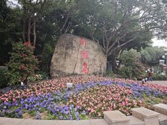 -野狸岛