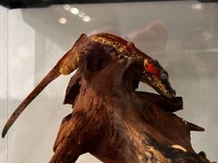 -酷以爬仙阁实体爬宠店·守宫·蜥蜴·专业繁育