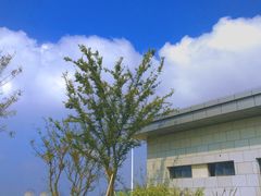 -九龙湖公园