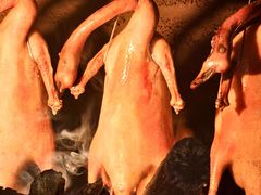 -凤阁楼果木烧鹅(鹤山陈山店)