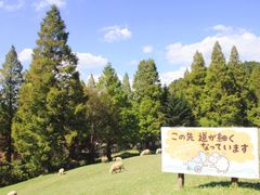-神户市立六甲山牧场