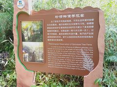 -赤水丹霞旅游区·佛光岩