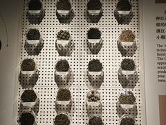 -中国茶叶博物馆(双峰馆区)