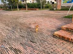 -祝甸砖窑文化馆