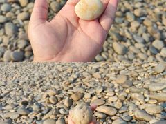 -金海湾滨江公园