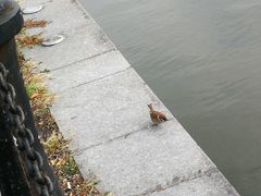 -美兰湖景区