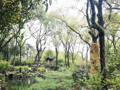 -天一阁博物院