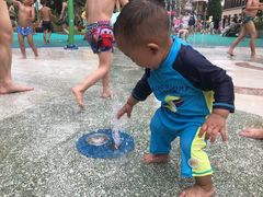 -苏州乐园森林水世界