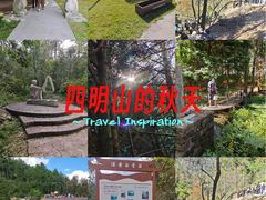 -四明山国家森林公园